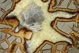 Polished Septarian Slab With Calcite Crystal - Utah #150000-1
